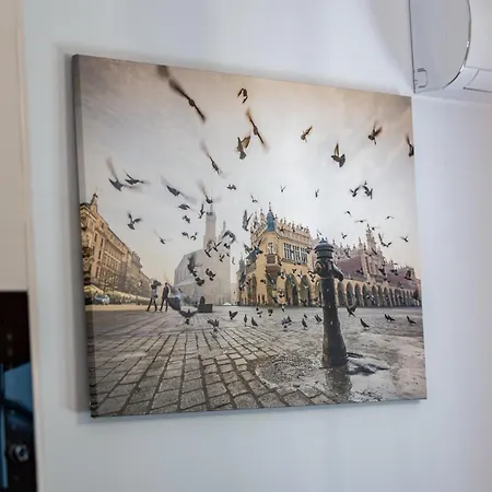 Cracow Masarska Premium كراكوفيا